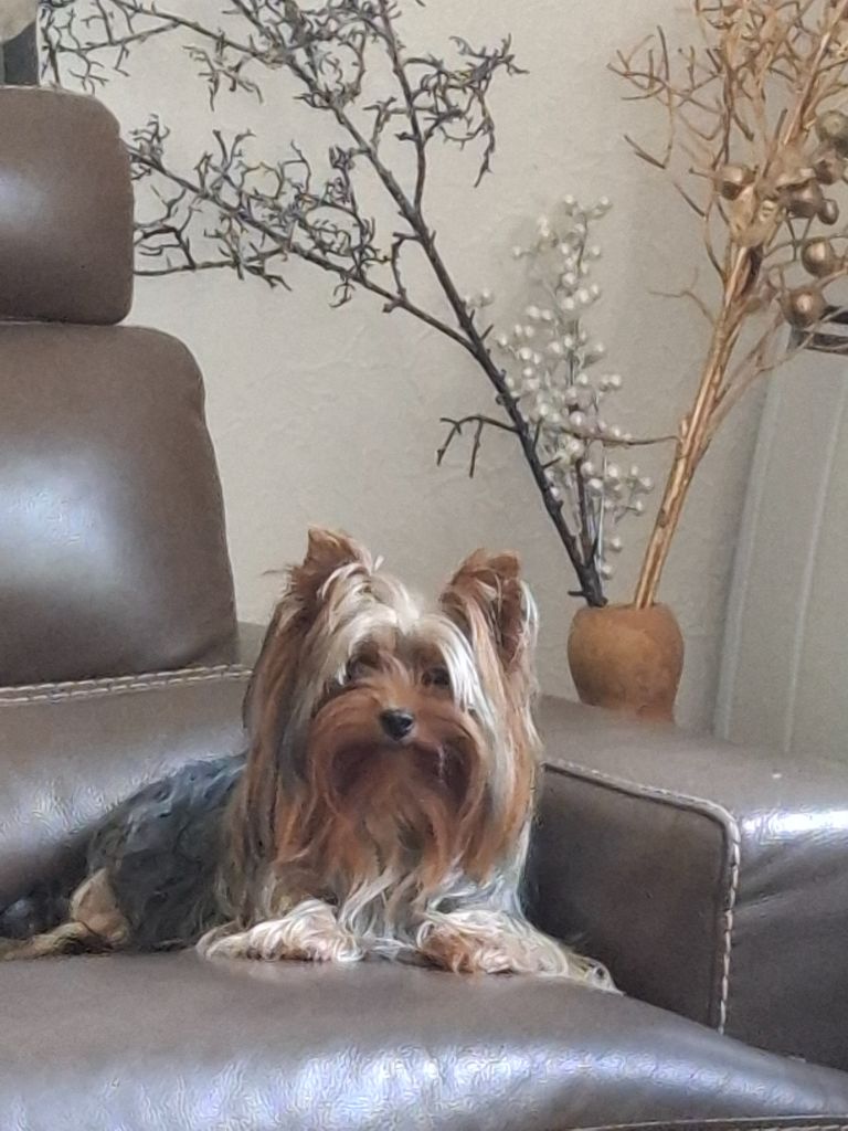 Uguette du clos d'Astepha