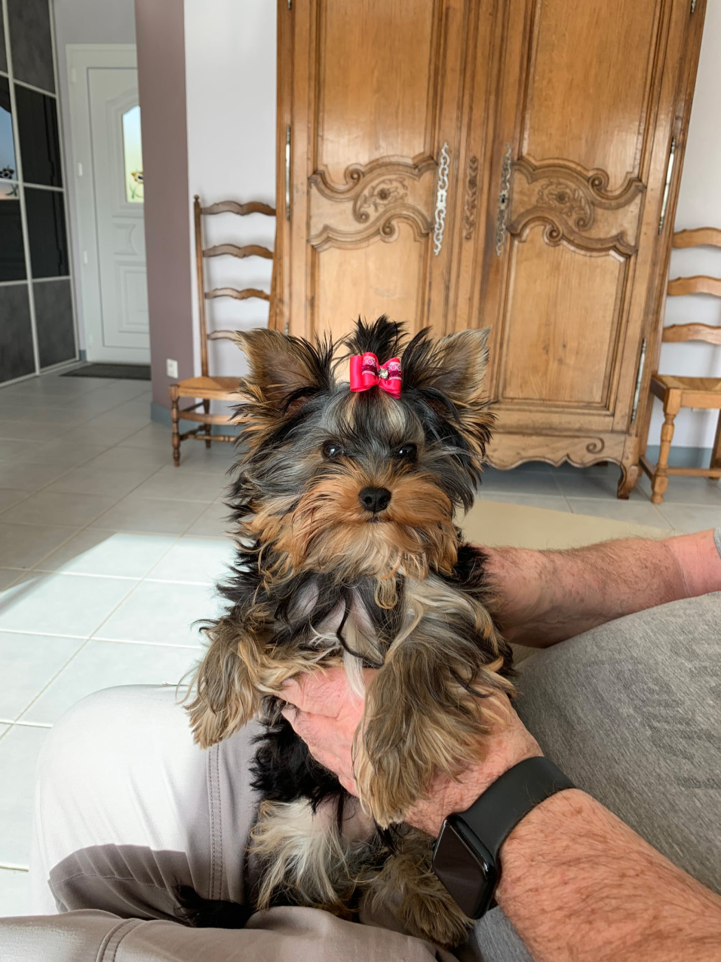 du clos d'Astepha - ARIA DU CLOS D'ASTEPHA