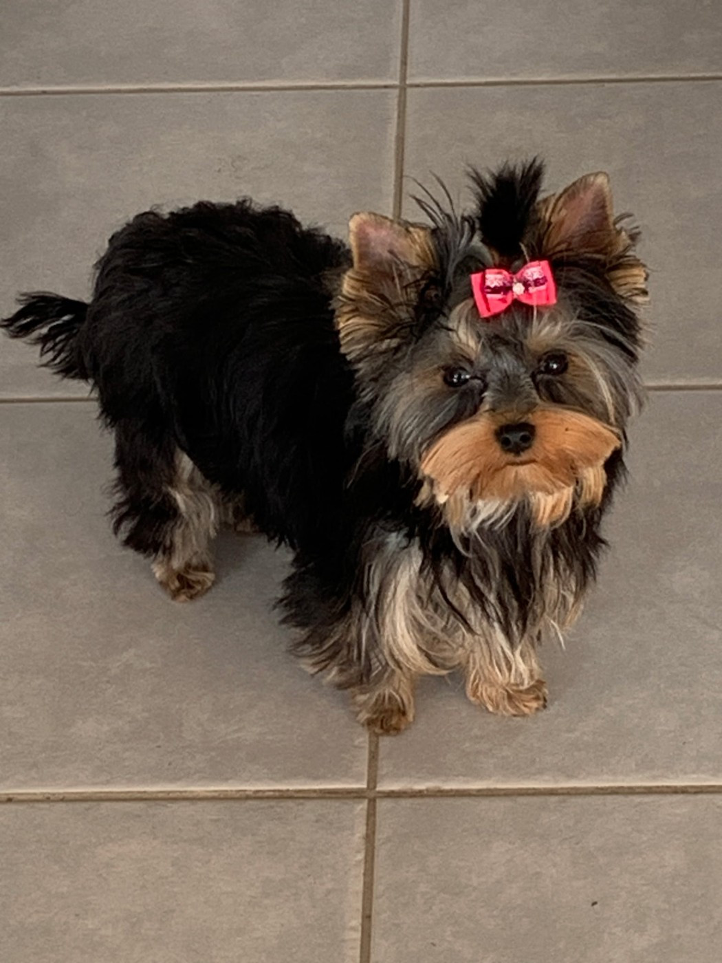 du clos d'Astepha - ARIA DU CLOS D'ASTEPHA